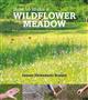 How to make a wildflower meadow: Tried-And-Tested Techniques for New Garden Landscapes