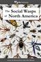 The Social Wasps of North America