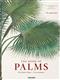 Martius. The Book of Palms