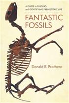 Fantastic Fossils: A Guide to Finding and Identifying Prehistoric Life
