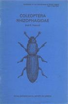 Coleoptera, Rhizophagidae (Handbooks for the Identification of British Insects 5/5a)