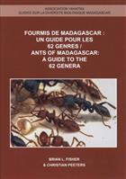 Les fourmis de Madagascar / Ants of Madagascar