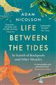 Life Between the Tides: In Search of Rockpools and Other Miracles