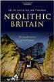 Neolithic Britain: The Transformation of Social Worlds