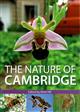 The Nature of Cambridge