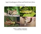 Jago's Grasshoppers of East and North East Africa Vol. 4: Acrididae: Euryphyminae, Cyrtacanthacridinae, Oedipodinae