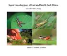 Jago's Grasshoppers of East and North East Africa Vol. 5: Acrididae: Acridinae