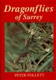 Dragonflies of Surrey