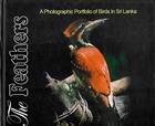 The Feathers: A Photographic Portfolio of Birds in Sri Lanka