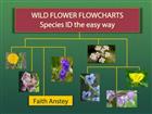Wild Flower Flowcharts: Species ID the Easy Way