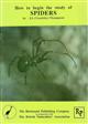 How to begin the Study of Spiders