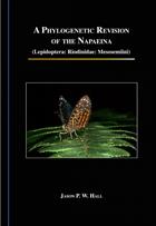 A Phylogenetic Revision of the Napaeina (Lepidoptera: Riodinidae: Mesosemiini)