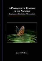 A Phylogenetic Revision of the Napaeina (Lepidoptera: Riodinidae: Mesosemiini)