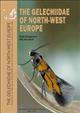 The Gelechiidae of North-West Europe