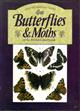 Butterflies & Moths of the British Countryside