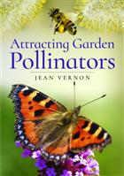 Attracting Garden Pollinators