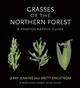 Grasses of the Northern Forest: A Photographic Guide
