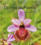 Ophrys de France