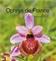 Ophrys de France