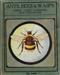 Ants, Bees and Wasps: Their Lives; Loves and Tragedies
