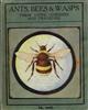 Ants, Bees and Wasps: Their Lives; Loves and Tragedies