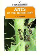 Ants of the British Isles