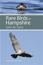 Rare Birds of Hampshire