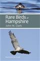 Rare Birds of Hampshire