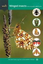 Winged insects: Fold-out guides Wildlife Pack