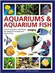 Aquariums & Aquarium Fish: A definitive guide to identifying and keeping freshwater and marine fishes