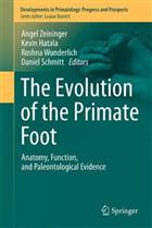 The Evolution of the Primate Foot: Anatomy, Function, and Palaeontological Evidence