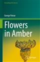 Flowers in Amber