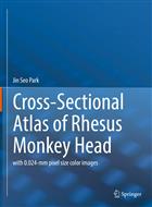 Cross-Sectional Atlas of the Rhesus Monkey Head: with 0.024-mm pixel size color images