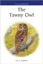 The Tawny Owl