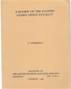 A Review of the Iguanid Lizard Genus Enyalius