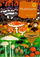 Mushrooms: The natural and human world of British fungi