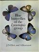 Blue Butterflies of the Lycaenopsis group