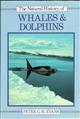 The Natural History of Whales and Dolphins