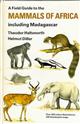 Collins Field Guide Mammals of Africa: including Madagascar
