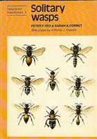Solitary Wasps (Naturalists' Handbooks 3)