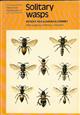 Solitary Wasps (Naturalists' Handbooks 3)