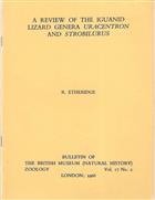 Review of the Iguanid lizard genera Uracentron and Stobilurus