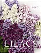 Lilacs: Beautiful varieties for home and garden