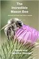The Incredible Mason Bee: How you can help this super pollinator live, work and produce the next generation