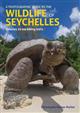 A Photographic Guide to the Wildlife of Seychelles