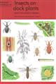 Insects on Dock Plants (Naturalists' Handbooks 26)