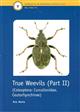 True Weevils 2: Coleoptera (Curculionidae, Ceutorhynchinae)  (Handbooks for the Identification of British Insects 5/17c)