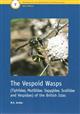 The Vespoid Wasps (Tiphiidae, Mutillidae, Sapygidae, Scoliidae and Vespidae) of the British Isles (Handbooks for the Identification of British Insects 6/6)