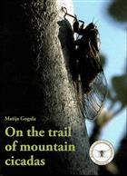 On the trail of mountain cicadas