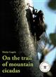 On the trail of mountain cicadas
